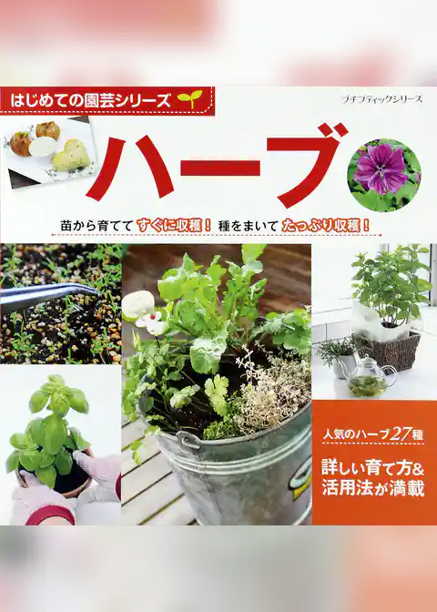 はじめての園芸シリーズ　ハーブ