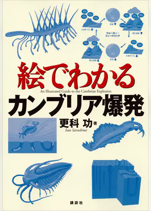 絵でわかるカンブリア爆発