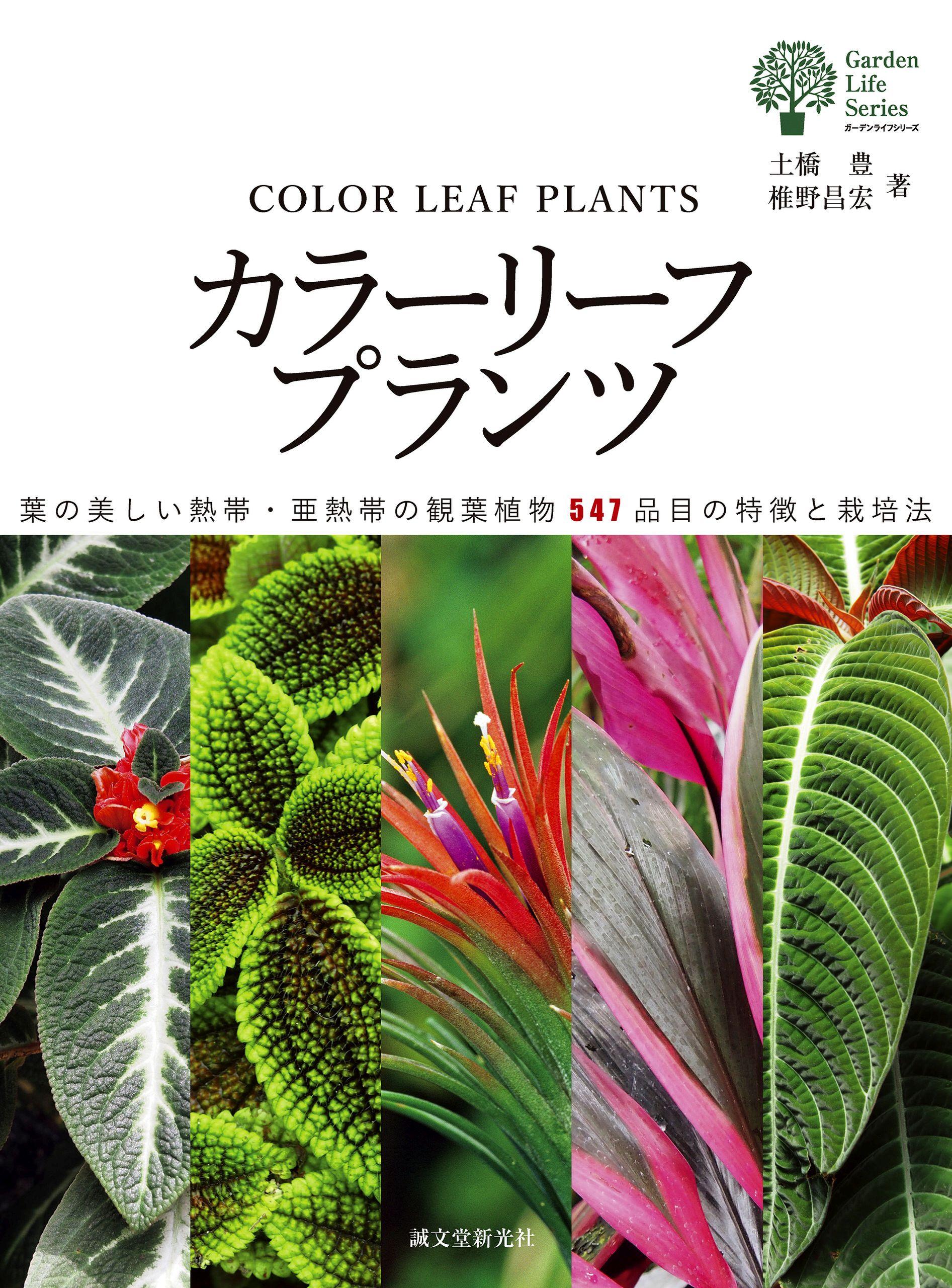 カラーリーフプランツ：葉の美しい熱帯・亜熱帯の観葉植物547品目の