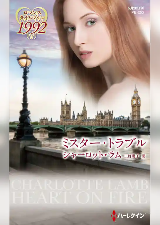 ミスター・トラブル