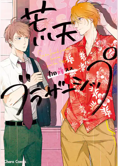 荒天ブラザーシップ