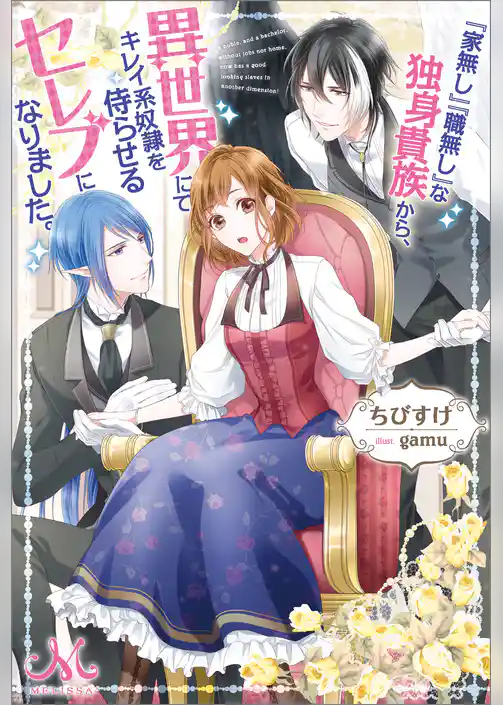 『家無し』『職無し』な独身貴族から、 異世界にてキレイ系奴隷を侍らせるセレブになりました。