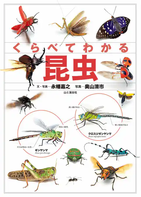 くらべてわかる 昆虫