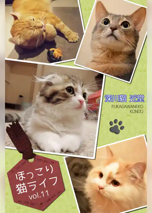ほっこり猫ライフ　vol.11