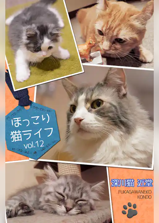 ほっこり猫ライフ　vol.12