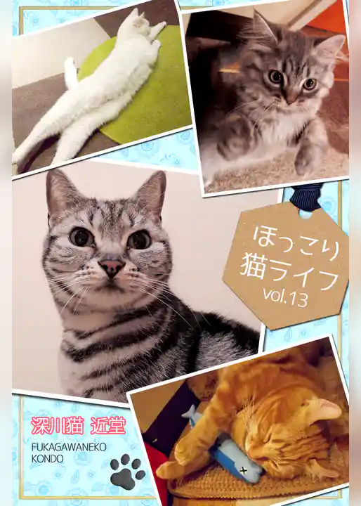 ほっこり猫ライフ　vol.13