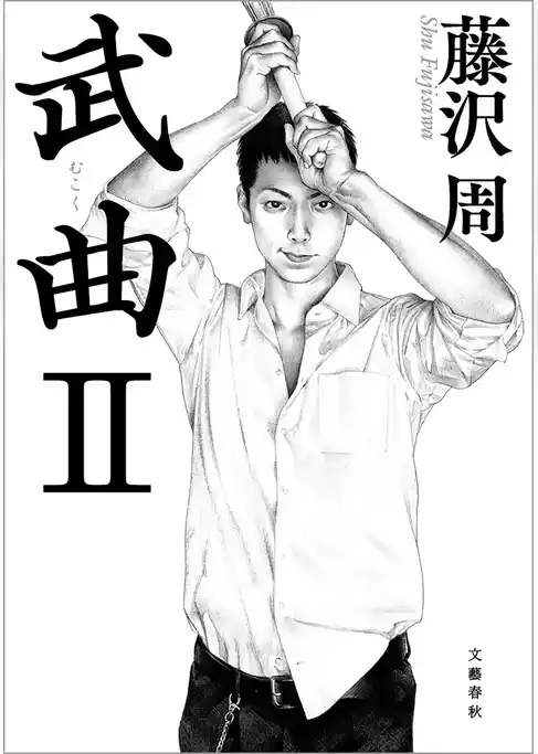 武曲 II