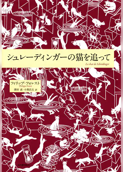 シュレーディンガーの猫を追って