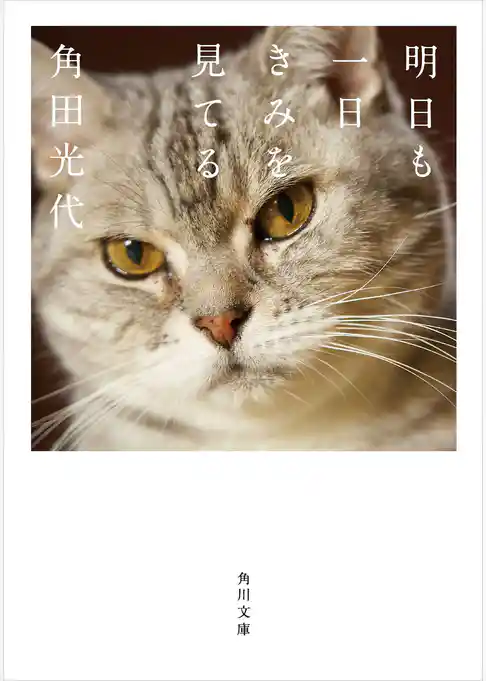角田光代　猫エッセイ