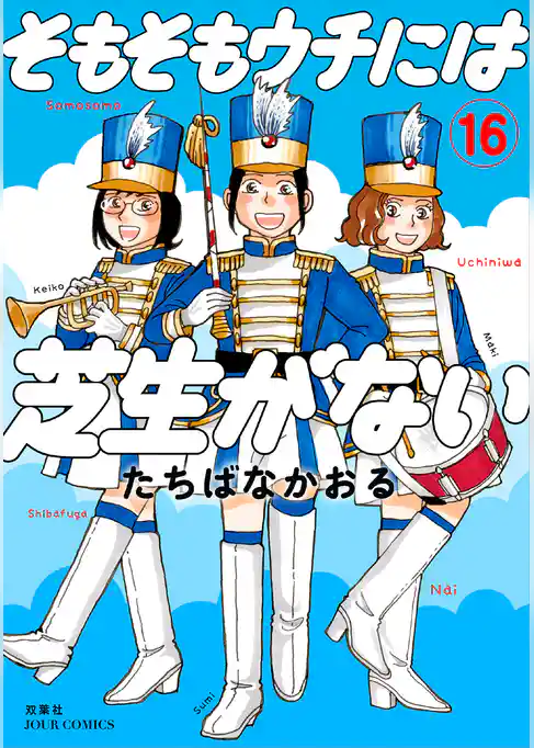 そもそもウチには芝生がない