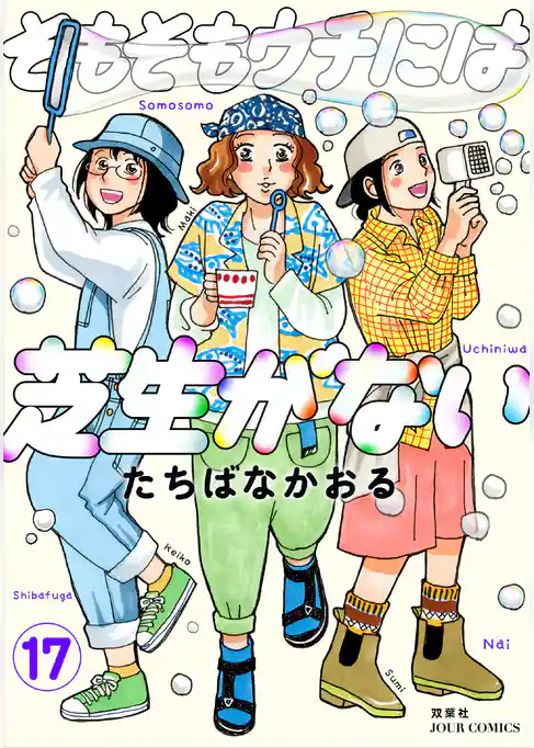 そもそもウチには芝生がない