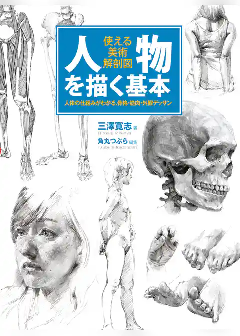 人物を描く基本 使える美術解剖図