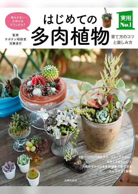 はじめての多肉植物　育て方のコツと楽しみ方