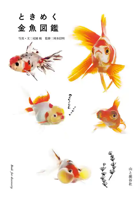 ときめく金魚図鑑