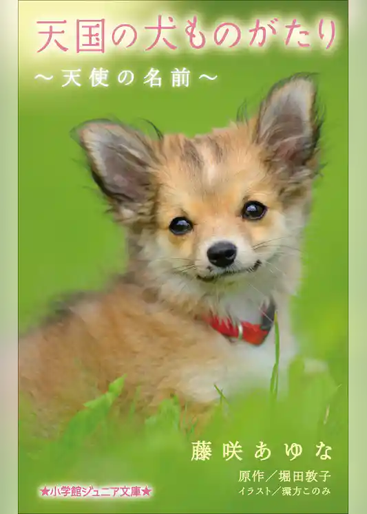 小学館ジュニア文庫　天国の犬ものがたり～天使の名前～
