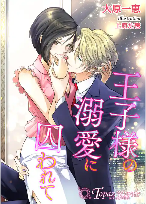 王子様の溺愛に囚われて【書下ろし・イラスト8枚入り】