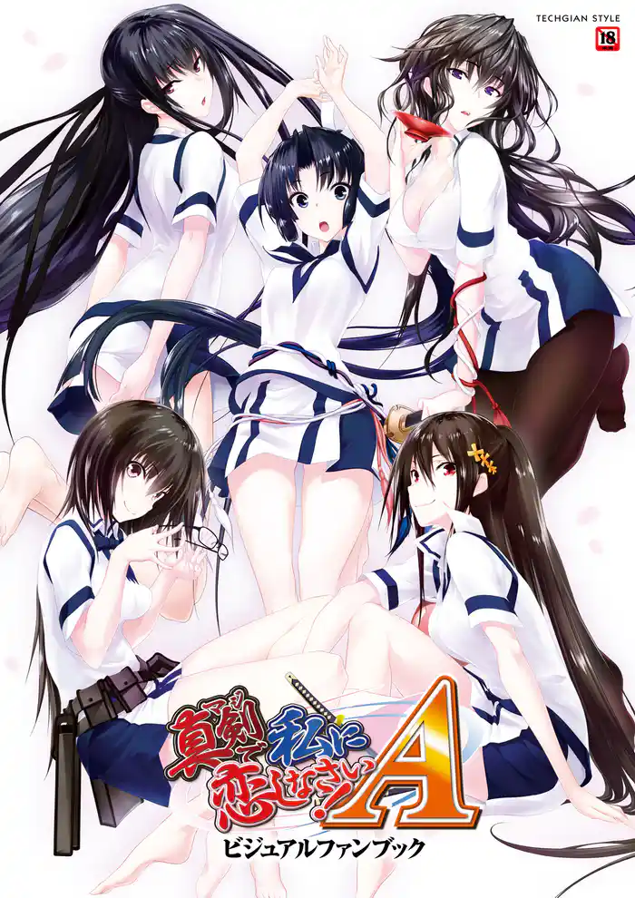 真剣で私に恋しなさい！A　ビジュアルファンブック