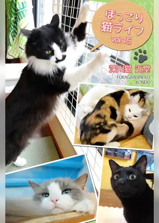ほっこり猫ライフ　vol.15
