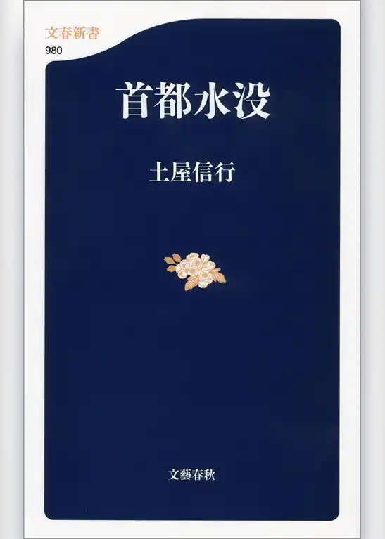 首都水没