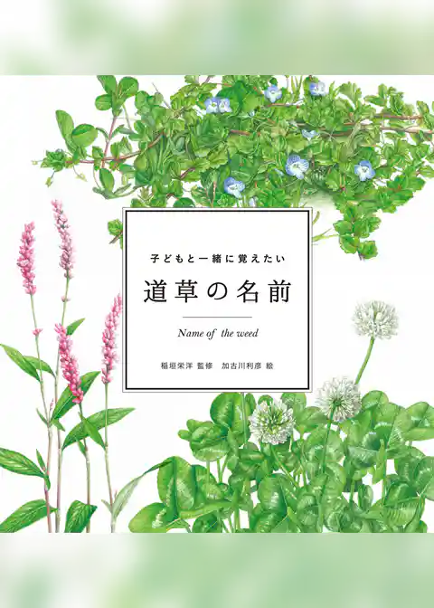 子どもと一緒に覚えたい　道草の名前