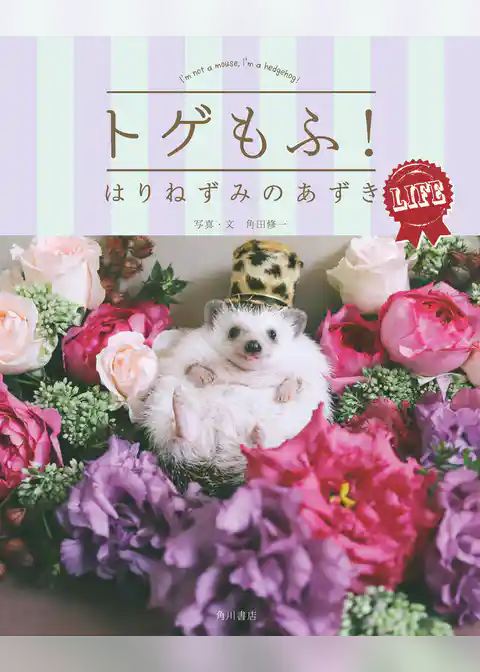 トゲもふ！　はりねずみのあずき