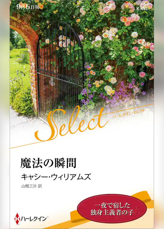 魔法の瞬間【ハーレクイン・セレクト版】