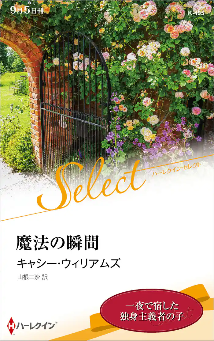 魔法の瞬間【ハーレクイン・セレクト版】