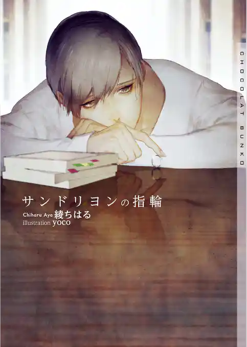 サンドリヨンの指輪【イラストあり】
