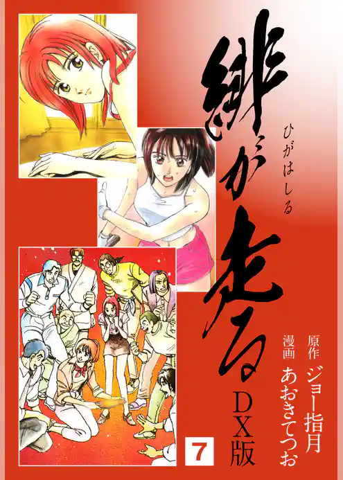 緋が走る　ＤＸ版