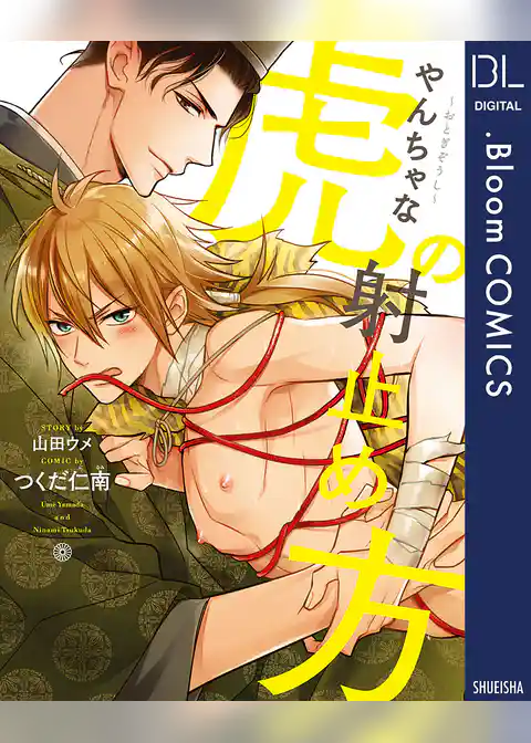 ～おとぎぞうし～やんちゃな虎の射止め方