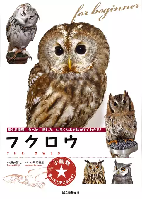 フクロウ：飼える種類、食べ物、接し方、仲良くなる方法がすぐわかる！