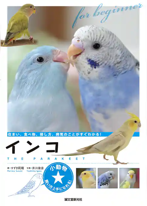 インコ：住まい、食べ物、接し方、病気のことがすぐわかる！