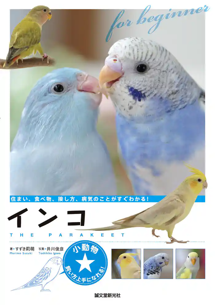 インコ：住まい、食べ物、接し方、病気のことがすぐわかる！