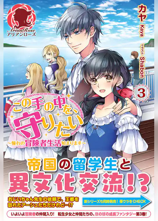 この手の中を、守りたい