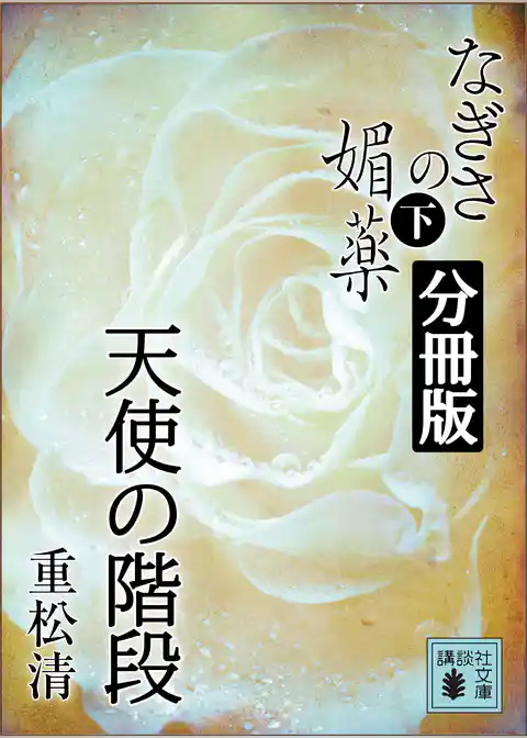 なぎさの媚薬　分冊版　天使の階段