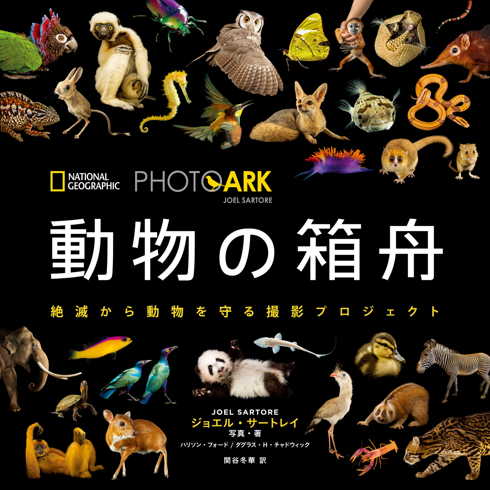 PHOTO ARK 動物の箱舟(書籍) - 電子書籍 | U-NEXT 初回600円分無料