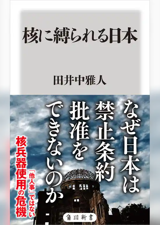 核に縛られる日本