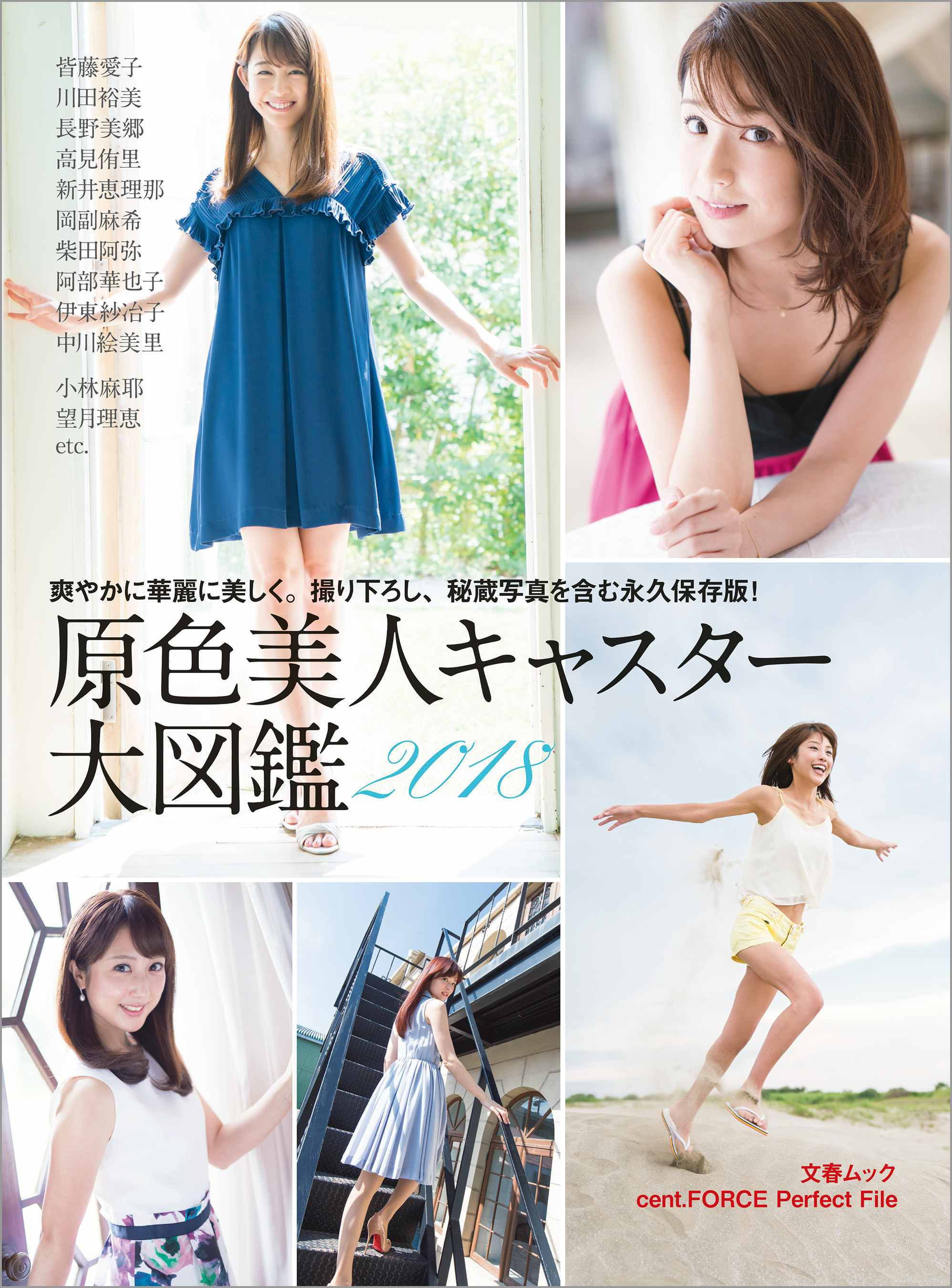 原色美人キャスター大図鑑2018 cent.FORCE Perfect File【デジタル原色