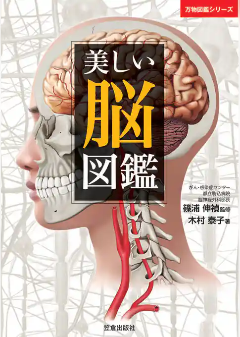 美しい脳図鑑