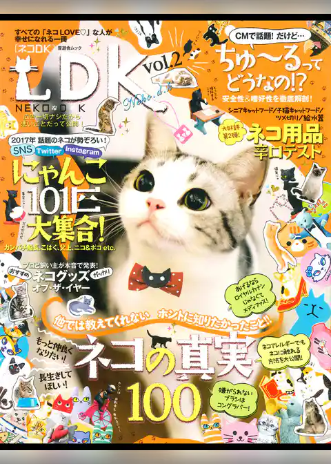 晋遊舎ムック ネコＤＫ　ｖｏｌ．２