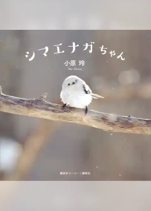 シマエナガちゃん