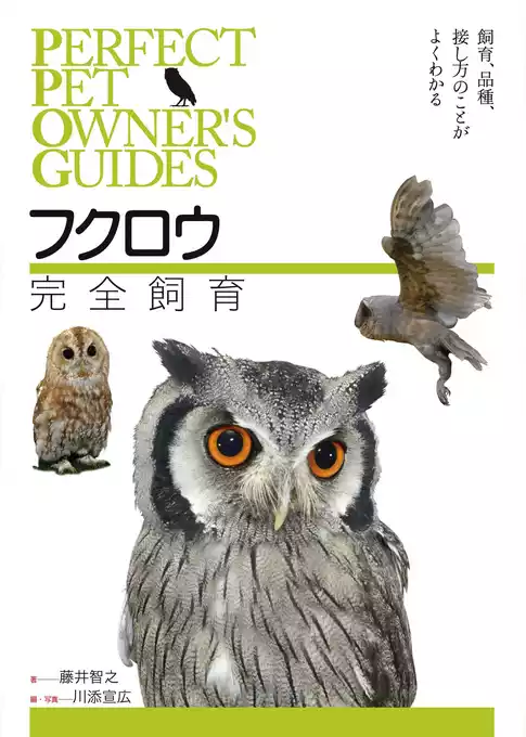 フクロウ完全飼育：飼育、品種、接し方のことがよくわかる