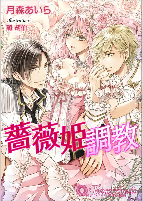 薔薇姫調教【書下ろし・イラスト10枚入り】