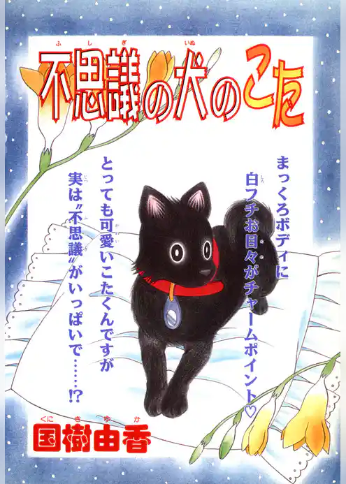 不思議の犬のこた