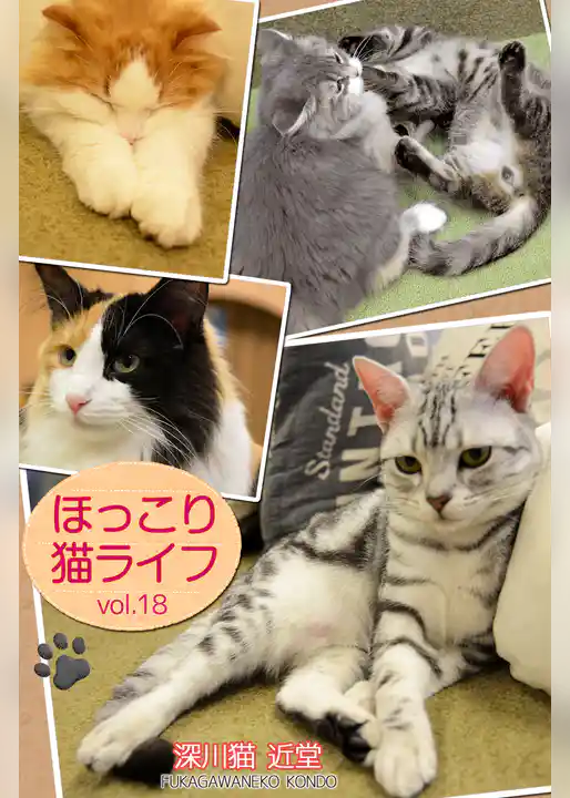 ほっこり猫ライフ　vol.18