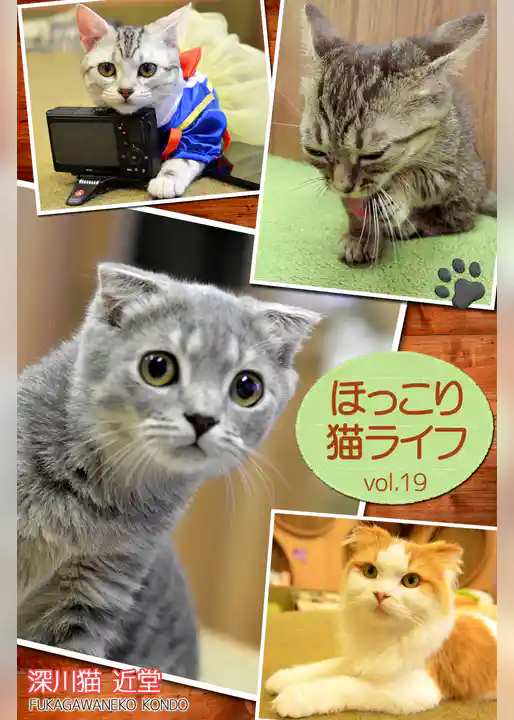 ほっこり猫ライフ　vol.19