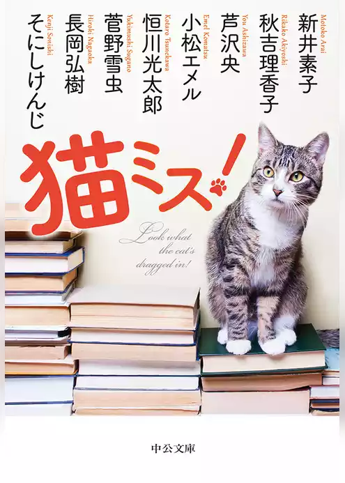 猫ミス！