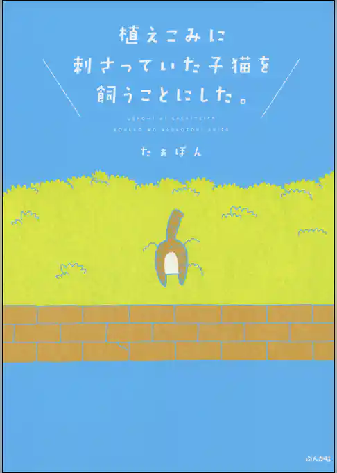 植えこみに刺さっていた子猫を飼うことにした。