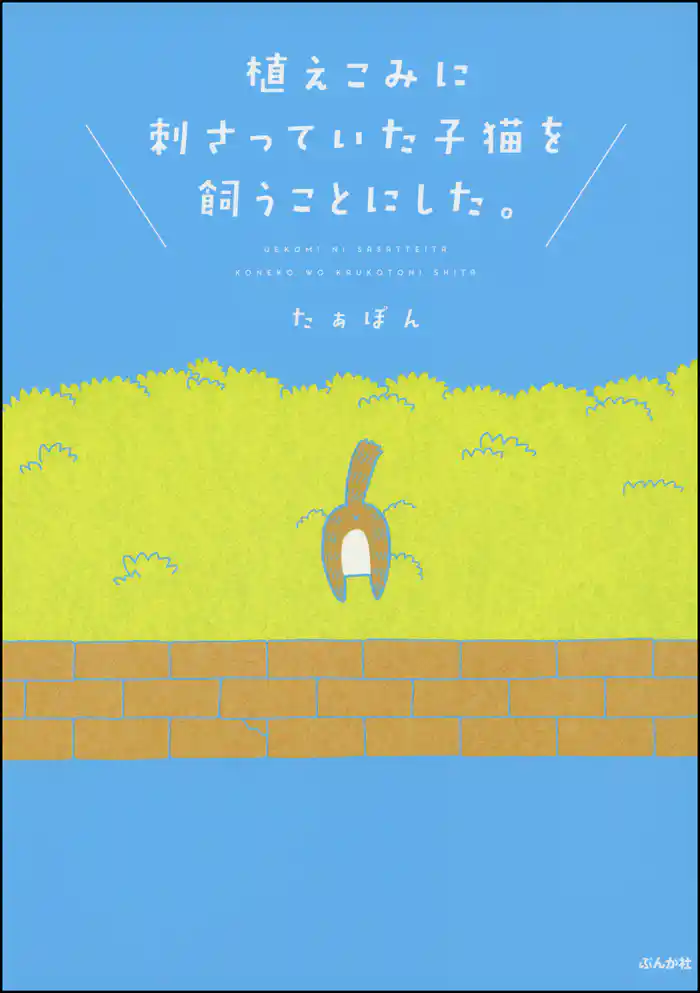 植えこみに刺さっていた子猫を飼うことにした。