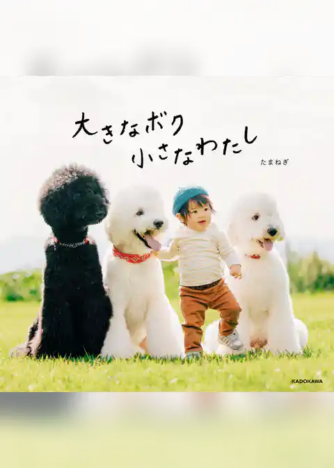 大きなボク 小さなわたし